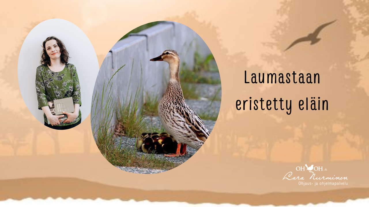 kuvassa ohjaaja, jolla kasa ryhmänohjaamiseen liittyvää kirjallisuutta, sekä toisessa kuvassa lintuemo poikasineen